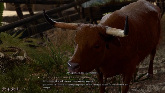BG3 Strange Ox